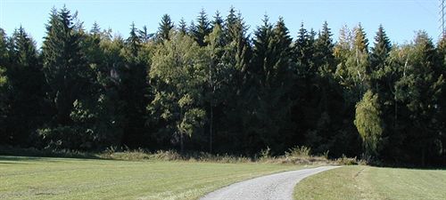 Hotel Am Bad-Wald Bad Liebenzell Eksteriør billede