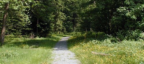 Hotel Am Bad-Wald Bad Liebenzell Eksteriør billede